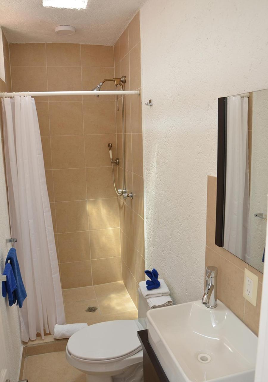 Casa Coyoacan Herberg 2*