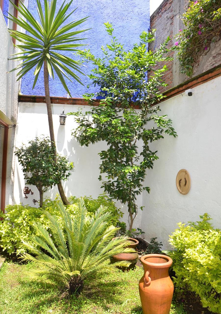 Pensão Casa Coyoacan